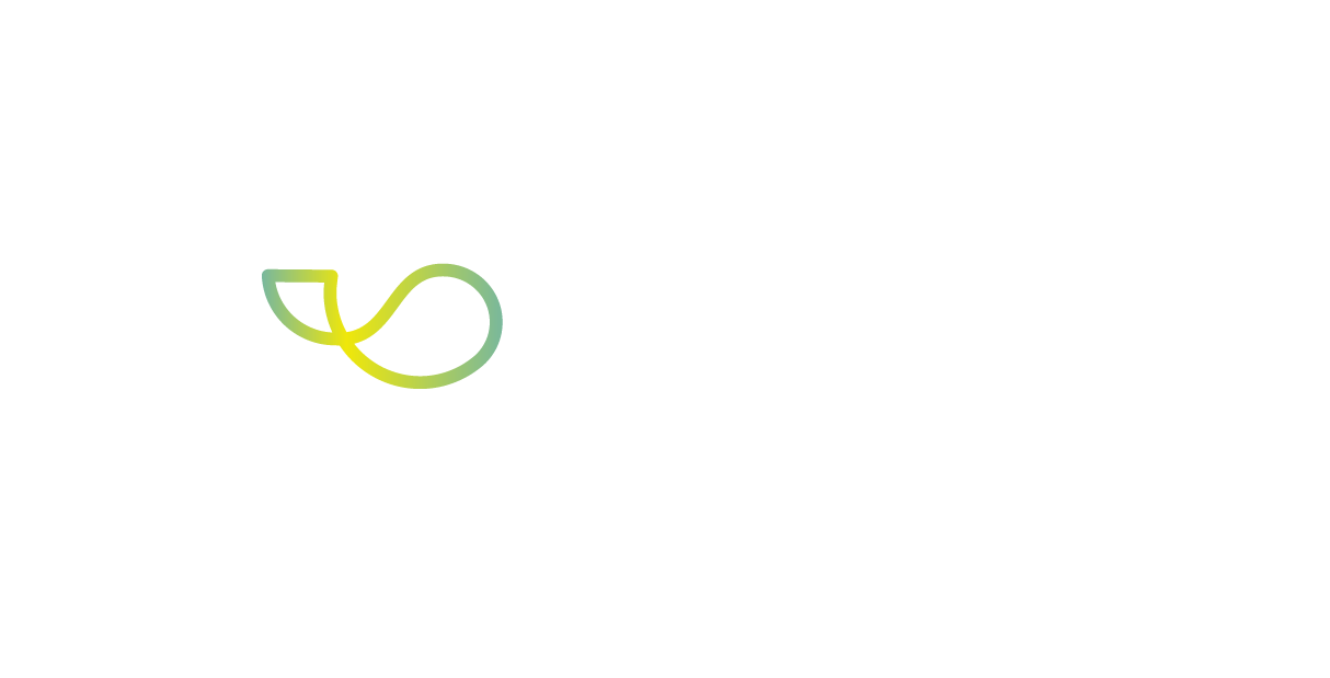 fondo trasparente
